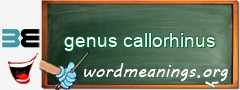 WordMeaning blackboard for genus callorhinus